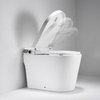 Self-cleaning bidet nozzle extended from Annecy smart toilet in spray position