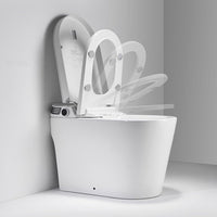 Annecy smart toilet with open lid showing ceramic bowl and self-cleaning bidet nozzle