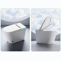 White toilet with open lid against a sky background