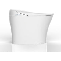 Remote Control Self-Cleaning Antibiosis Smart Intelligent Toilet - Cascada Showers